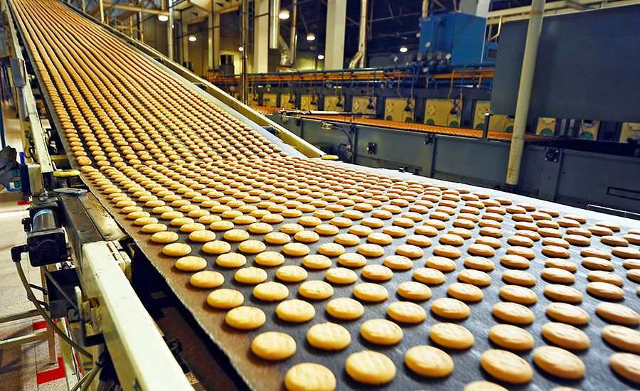 Food-Grade Conveyor Components: What You Need to Know